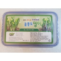 후계자농원 청정 울릉도 자연산 산마늘 명이나물 절임나물 장아찌 2.5kg, 1kg(케이스)2개 + 500g(진공팩)1개