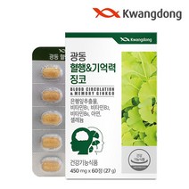 광동생활건강 광동 혈행 앤 기억력 징코 60정 2박스, 단일옵션, 2개