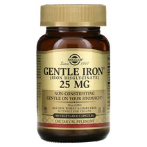 솔가 젠틀 아이언 철분 비스글리시네이트 킬레이트 미네랄 25mg 베지캡슐 90정, 90개, 1개, 90개