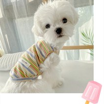 말티즈 장모치와와 말티푸 비숑 프리제 옷 스트라이프 펫 강아지조끼 테디면작 강아지고양이 포메라니안 여름원피스봄, 스트라이프 조끼 - 오렌지, xl(7.5-10 권장)