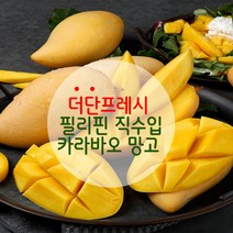 [더단프레시] 직수입 필리핀 카라바오 생망고, 카라바오망고 M 6과 1.5kg