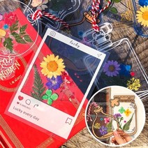 오렌지e몰 누름꽃 압화 투명 책갈피 만들기 - D세트, 단품