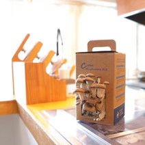 커피버섯키트 집에서 키우는 느타리버섯 키우기 체험학습