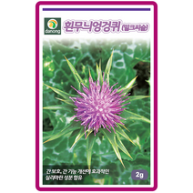 흰무늬엉겅퀴 씨앗 밀크씨슬 2g 약초 약용식물 가정원예