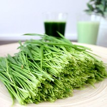 [사그담] [산지직송]청정 강원도 평창 재배 생 밀싹 1kg, 상세 설명 참조