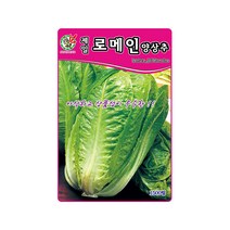 양상추씨앗 제일로메인양상추 1500립 건강채소 샐러드, 단품