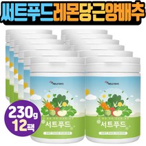 써트푸트분말 서트푸드가루 레몬 당근 양배추 쉐이크 초등학생 중학생 고등학생 어린이 키즈 아침한끼 식사대용 브로콜리 새싹보리 녹차추출물 30대 40대 50대 직장인 출근전