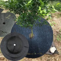 마늘부직포 마늘멀칭비닐2/5pcs 정원 나무 식물 커버 보호 잡초 매트 천으로 생태 컨트롤 멀치 배리어 꽃, 05 52cm_02 5pcs
