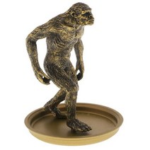 인체 진화 원숭이 남자 모델 시뮬레이션 피규어 장난감 컬렉션 디스플레이 교육 자료 소품, D