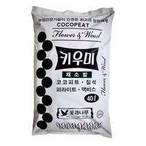 40L 황칠 남천 나무 천리향 금전수 아라우카리아 분갈이