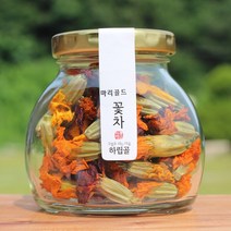 하립골 마리골드 메리골드 꽃차 직접재배 루테인, 12g, 1개