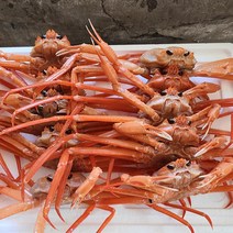 울진 동해바다의 홍게 6미 대자 2.5kg 자숙 수율 85% / 신선함 갑각류 대게