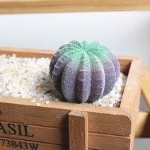 녹색 무리를 짓는 인공 다육 식물 분재 데스크탑 생생한 식물 웨딩 장식 식물 plant artificielle, hd2144-zi