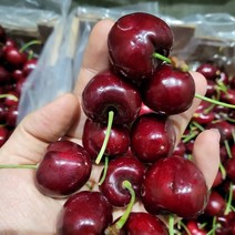 초달달 좋은체리 로얄 생체리 칠레 미국, 1kg, 특(9R/30mm)
