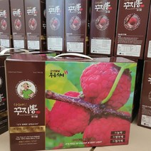 국산 유기농 꾸지뽕 구찌뽕 발효 효소진액 꾸지뽕c 레귤러(R) 100ml 30팩, 1박스