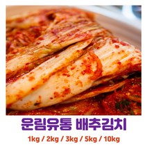 국내산 우리농산물 배추김치 1kg 2kg 3kg 5kg 10kg, 배추김치 3kg, 1개