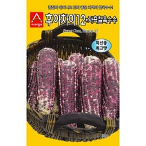 [조이가든] 씨앗 - 후아차이12 자흑찰옥수수 (30g), 1개