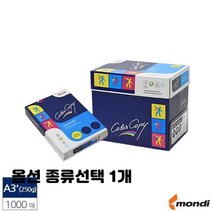 레이저 프린터용 A4 A3 복사 에이포 용지 100g 135g 160g 90g 미색 유광 백색 종류선택 1개, A3 레이져 전용지 250g 1000매