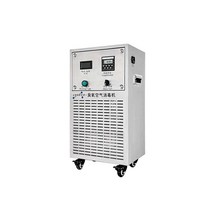 오존 발생기 생성기 산업용 공기 청정 소독기 이동식, 100-300m3에 적합한 10g/h)