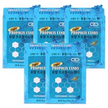 로얄 프로폴리스 캔디 8정, 5개, 36g