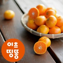 산지직송 제주도 서귀포 고당도 타이벡 조생 하우스 감귤 2.5kg 4.5kg, 노지감귤, 9kg 로얄과