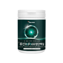 WHP 분리유청단백질 류신단백질 280g, 1개