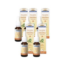 Scleranthus 25ml Biofloral Fleurs De Bach 28, 5팩