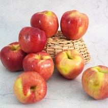 [더조은] 아리수 사과 가정용 3kg 7-9과, 단품