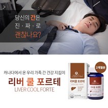 간수치 높을때 업무 피로할때 회식 음주 잦을때 술병났을때 간 건강 해독 관리 유지 개선 에 좋은 영양제 liver care vitamin, 2BOX(4개월분), 1g, 2개