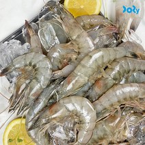 전남 신안 왕 새우 1kg 급랭 새우철 대하 흰다리새우, 급랭새우 1kg 28-33미