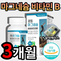 식약처 인증 인정 마그네슘 마그네숨 비타민 비 B 팔 다리 발 저림 쥐 날때 먹는 영양제 보충제 온가족 어르신 임신 임산부 수유부 대학생 직장인 홈쇼핑 TV 알약케이스 마이크로, 1개 (10400원 할인), 90정 (3개월 분)