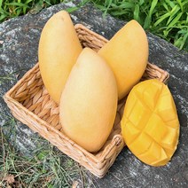 망고 항공직송 새콤달콤 태국망고 골드망고 2.5kg 5kg, 망고2.5kg 7과수내외, 1개