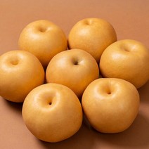 농부들의수확 [농부들의수확]나주 산지직송 나주배 15kg 가정용 21-25과, 단품없음