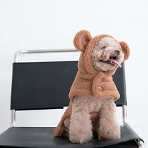 펫라이엇 강아지옷 가을 겨울 곰돌이 망토 후리스, FW1-25_one color