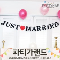 (주)파티해 파티 가랜드2 D-G - 생일 프로포즈 기념일 캠핑 홈데코 조화 여름 축하 환영, F09.펠트레터배너-JUSTMARRIED