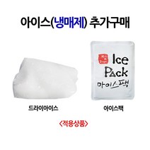 [31마켓] 냉매제 추가구매 아이스팩 2개/드라이아이스 1개, 아이스팩 2개