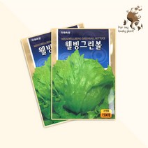웰빙그린볼 양상추 1500립 미래종묘 잎채소류 씨앗