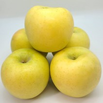 [신 품종] 고당도 시나노골드 황금 사과 3KG 5KG, 9. 정품 5KG 중대과 13~15과