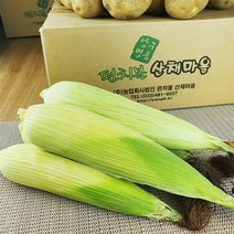 강원도 양구 펀치볼 산채마을 백미 찰 옥수수 10개/20개/30개/50개, (냉동)백미 찰 옥수수 30개