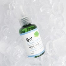 더허브샵 쿨샷 민트 스프레이 (2type), 50ml