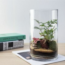잎새몰 테라리움 키트 이끼테라리움 만들기 DIY 비바리움(사은품: 직선핀셋 20cm), 원통15 x 25 테라리움 키트 + 직선핀셋 20cm