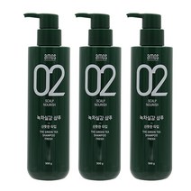 아모스 녹차실감 지성 탈모샴푸, 500g, 3개