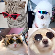 강아지 고양이 안경 선글라스, 5. 스포츠 고글, 블루