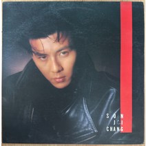 중고LP) 손지창 1집 - 내가 너를 느끼듯이 / 혼자만의 비밀
