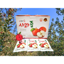 (진이네농장) Haccp 인증 100% 사과착즙 주스 새콤달콤한 건강한 맛 진이네 사과즙 (생즙), 감홍 부사 혼합, 2박스, 120 ml * 50개