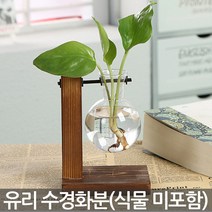 유리 수경화분세트 - 화분 수경화분 유리화분 인테리어화분 병 실내화분 투명화분 식물 유리병 수경재배 책상화분, 01_Sein_스탠드 수경화분(A01)