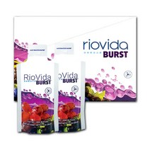 포라이프 트랜스퍼 팩터 리오비다 버스트 열대과일 건강젤