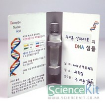 4인 구강상피세포 추출 응고 관찰 실험 키트 유전정보 초등 방과후 어린이 교육 DNA