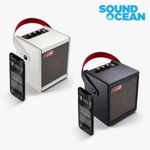 POSITIVE GRID Spark MIni 포지티브그리드 스파크 미니 스마트 기타앰프 블루투스 스피커, White