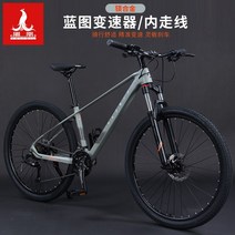 자전거 피닉스 마그네슘 합금 산악 가변 속도 오일 디스크 브레이크 남성 및 여성, 26인치, xt700 마그네슘 합금 청사진 가변 속도 라이트, 24단